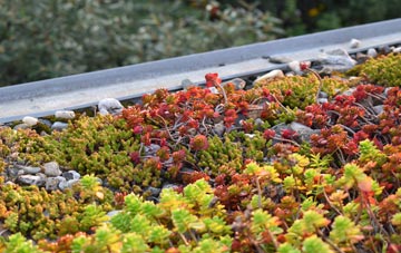 the cost of Sydmonton green roof installation