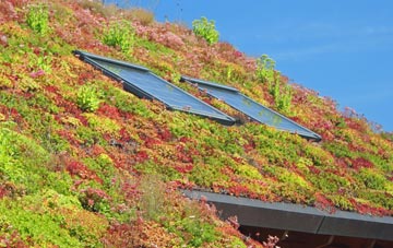 Sydmonton living roof systems