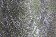 Sydmonton fibreglass roof work